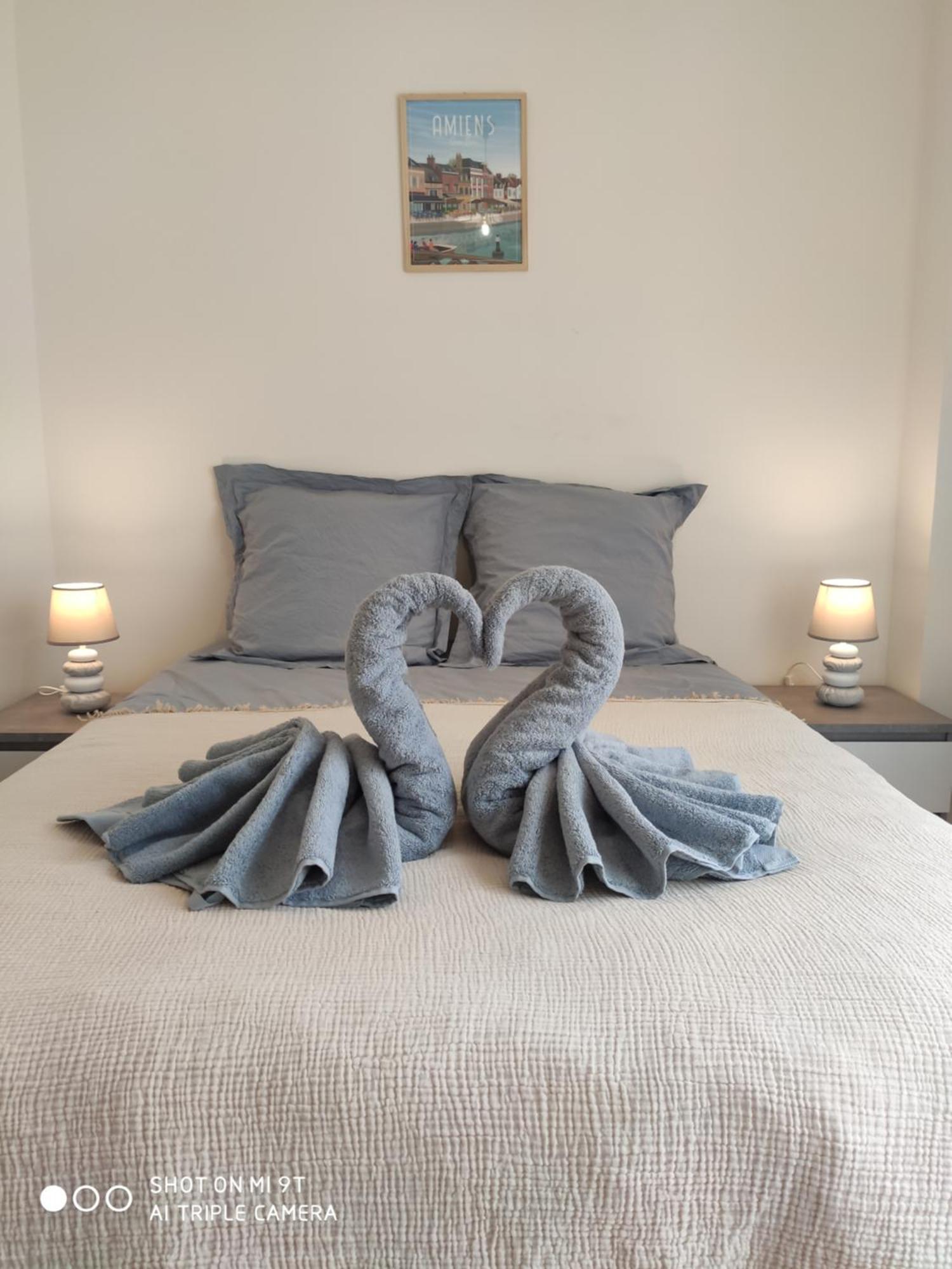 Sublime T2 Lumineux Avec Balcon - Rue Gratuite Apartment Amiens Ngoại thất bức ảnh